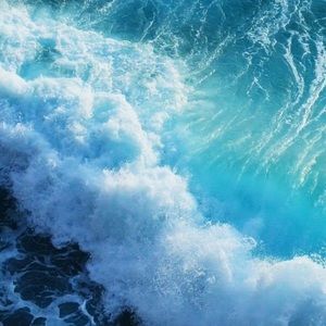 Meet your Posher, Maddy